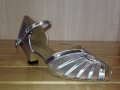 Silver Mesh